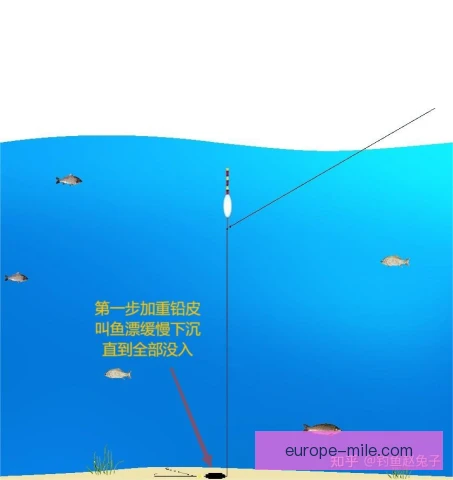 飞钓调漂找底技巧，精准判断水底提升中鱼率